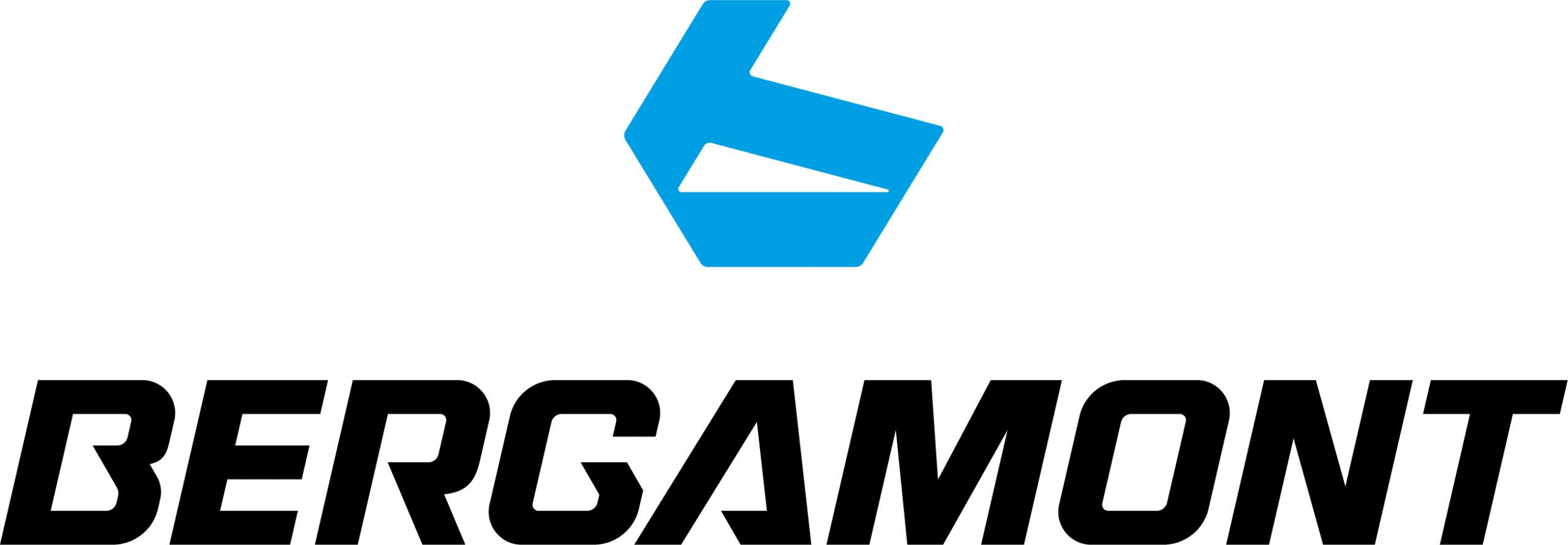 logo bergamont